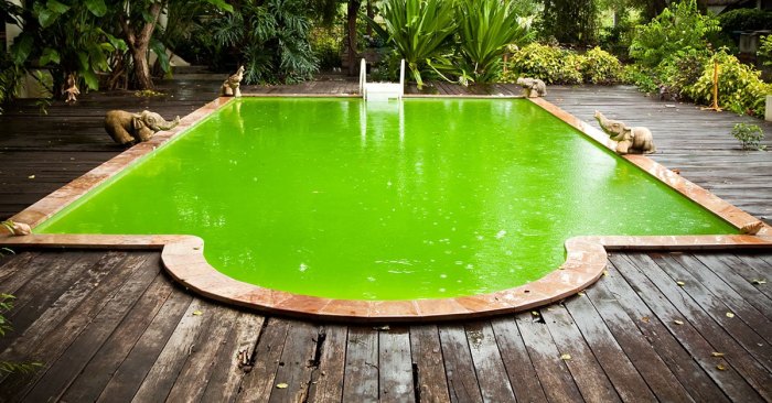 piscine verte erreur